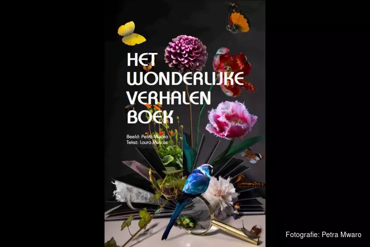 Fantasievolle tentoonstelling ‘Verwondering’ te zien in het hart van Den Bosch