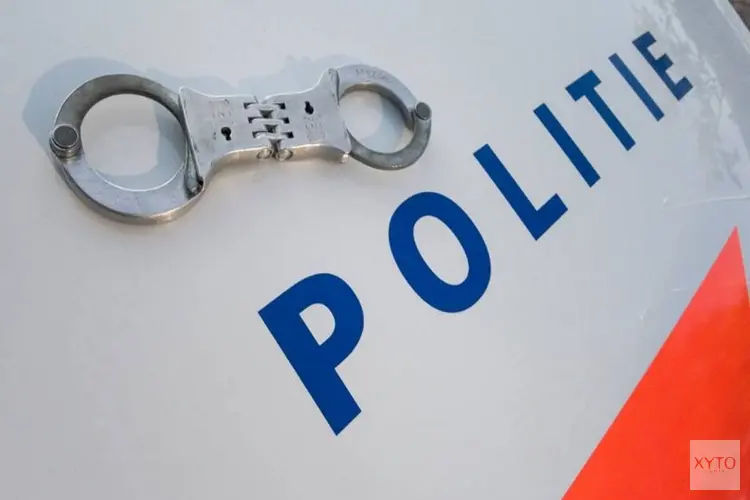 Politie houdt vier verdachten aan na steekincident in Den Bosch