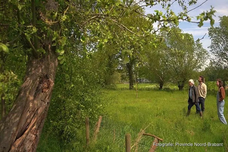 8 miljoen voor mooier landschap in Noord-Brabant