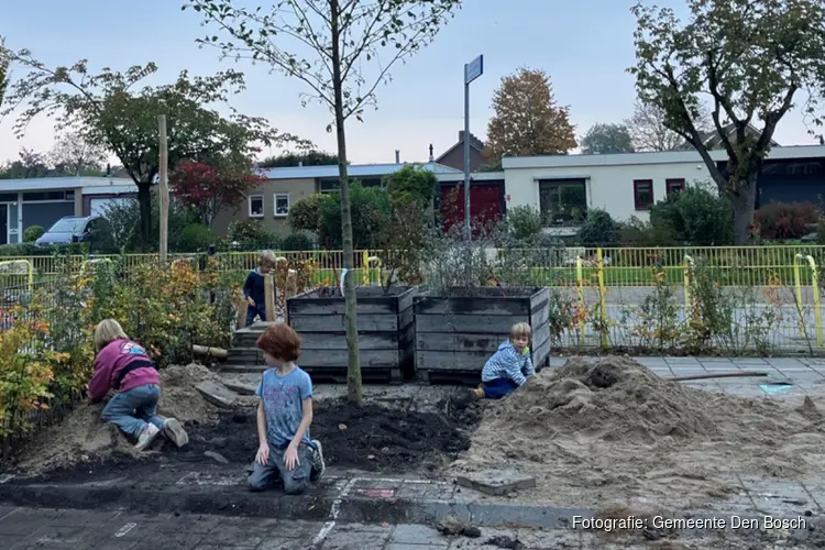 We geven 100 bomen weg aan inwoners