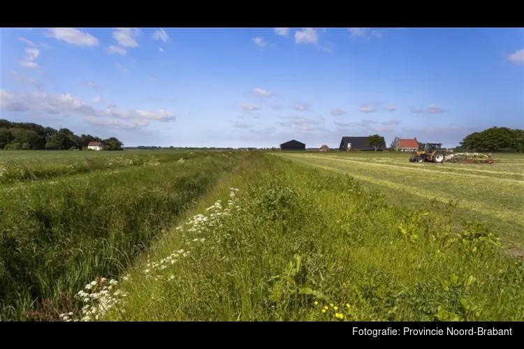 Openstelling subsidieregeling ‘Samenwerking voor Integrale Gebiedsontwikkeling’